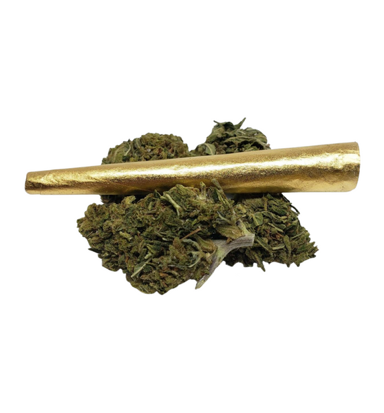 The Golden Cone Pre-Roll