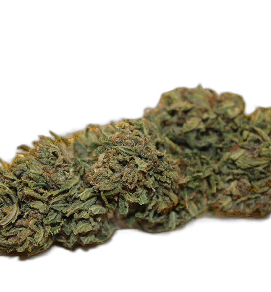 "Hawaiian Haze" CBD Nugs